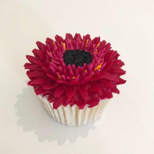 Taylor Made Cake Courses, Taylor made. Taylor made cakes, learn how to pipe buttercream flowers, learn piping from home, the Taylor made way, piping tutorial, online piping tutorials, buttercream flowers, floral buttercream cupcakes