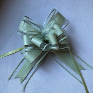 Sage Green Organza Bow - 10 packTaylor Made Cake Courses, online piping tutorials, online buttercream frosting videos, piping tips, piping accessories, flower piping, flower piping tips, cupcake bouquets, learn to pipe cupcake bouquets, buttercream flowers, buttercream frosting tutorials,