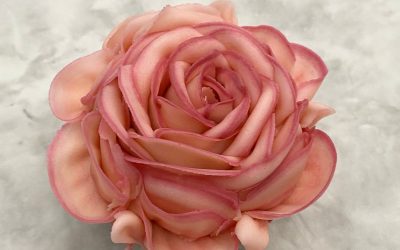 Top tips for Buttercream Roses 🌹